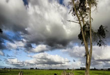 球员状态火爆，成绩稳坐榜首