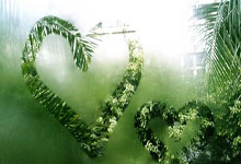 南安普顿主场遗憾失利，保级压力加大