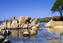 中国体操队获得男子团体冠军——荣耀、汗水与新的起点