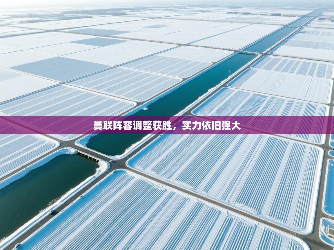 曼联阵容调整获胜，实力依旧强大  第1张